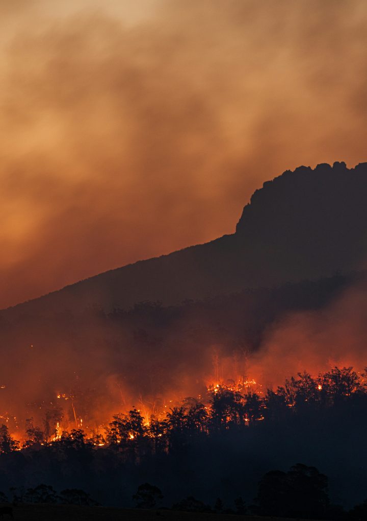 Climate Change, Resilience, and the Future